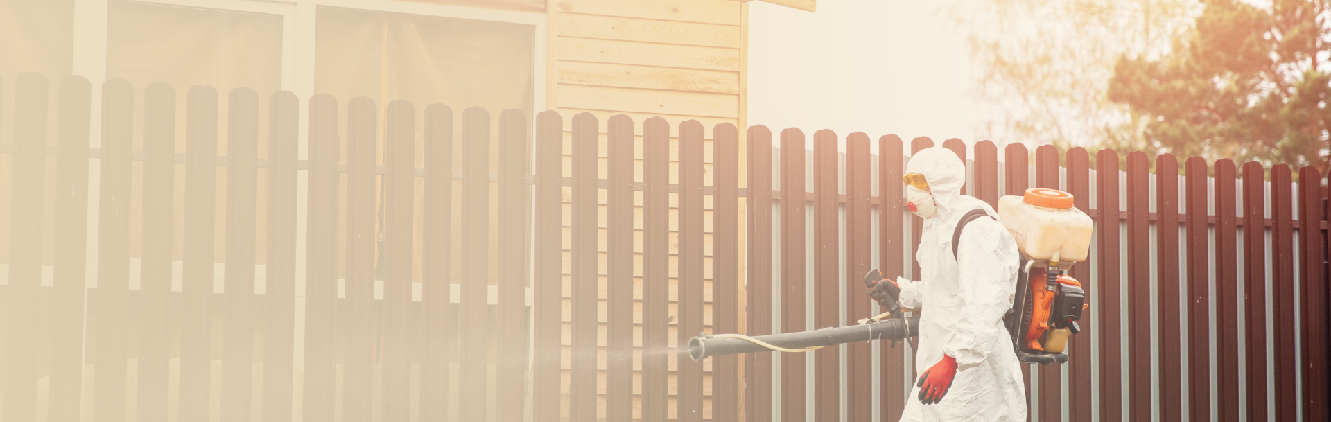 Уничтожение клещей – цены в СПб и ЛО